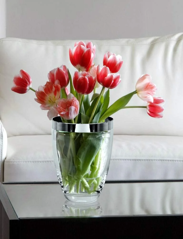 Vase Charlotte (Höhe 16 cm, Ø 12 cm), mundgeblasenes Kristallglas mit Platinrand Vase Charlotte (Höhe 16 cm, Ø 12 cm), mundgeblasenes Kristallglas mit Platinrand