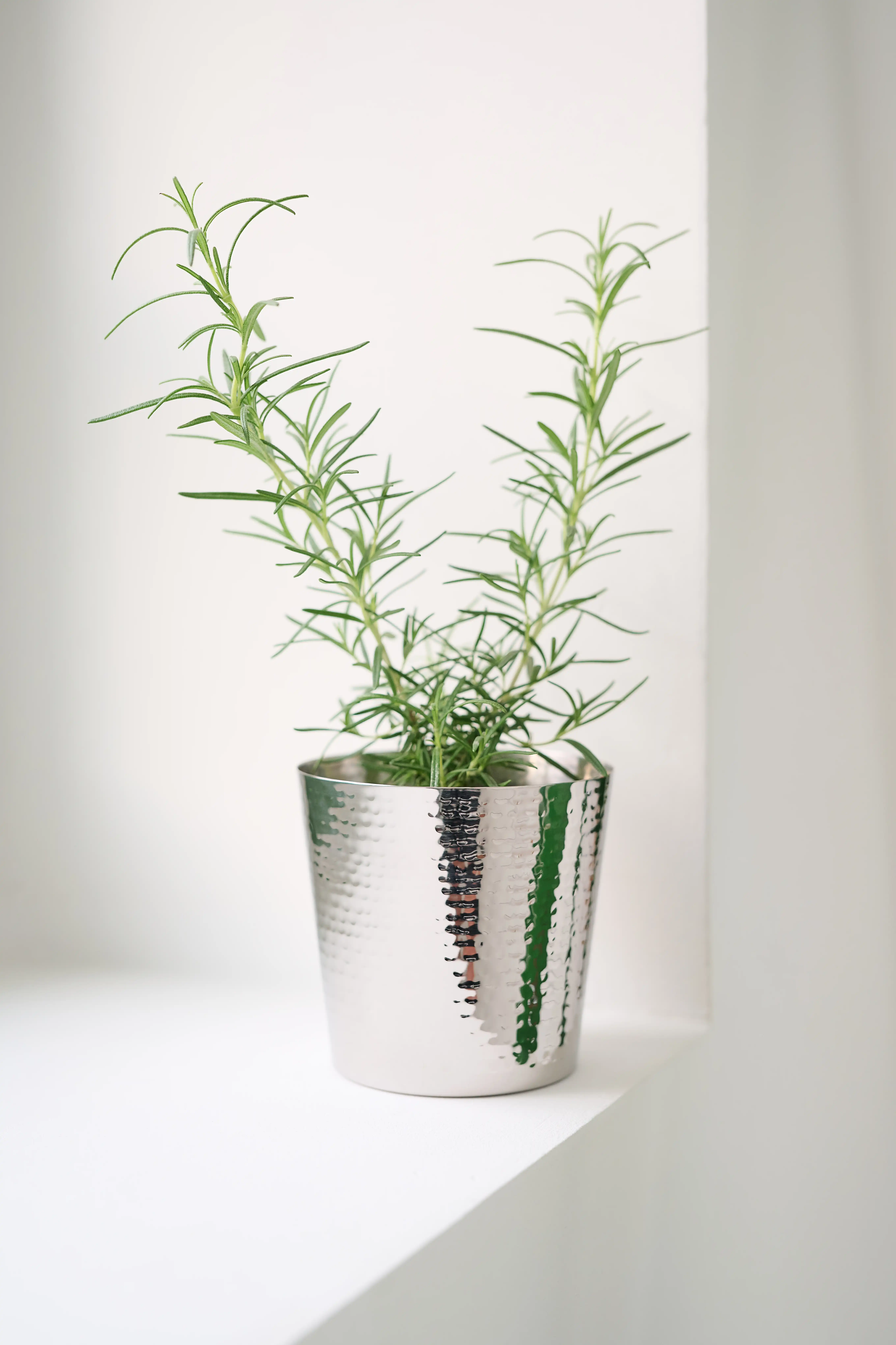 Blumenübertopf Basel gehämmert (Höhe 11 cm, Ø 11,5 cm), Edelstahl, hochglanzpoliert