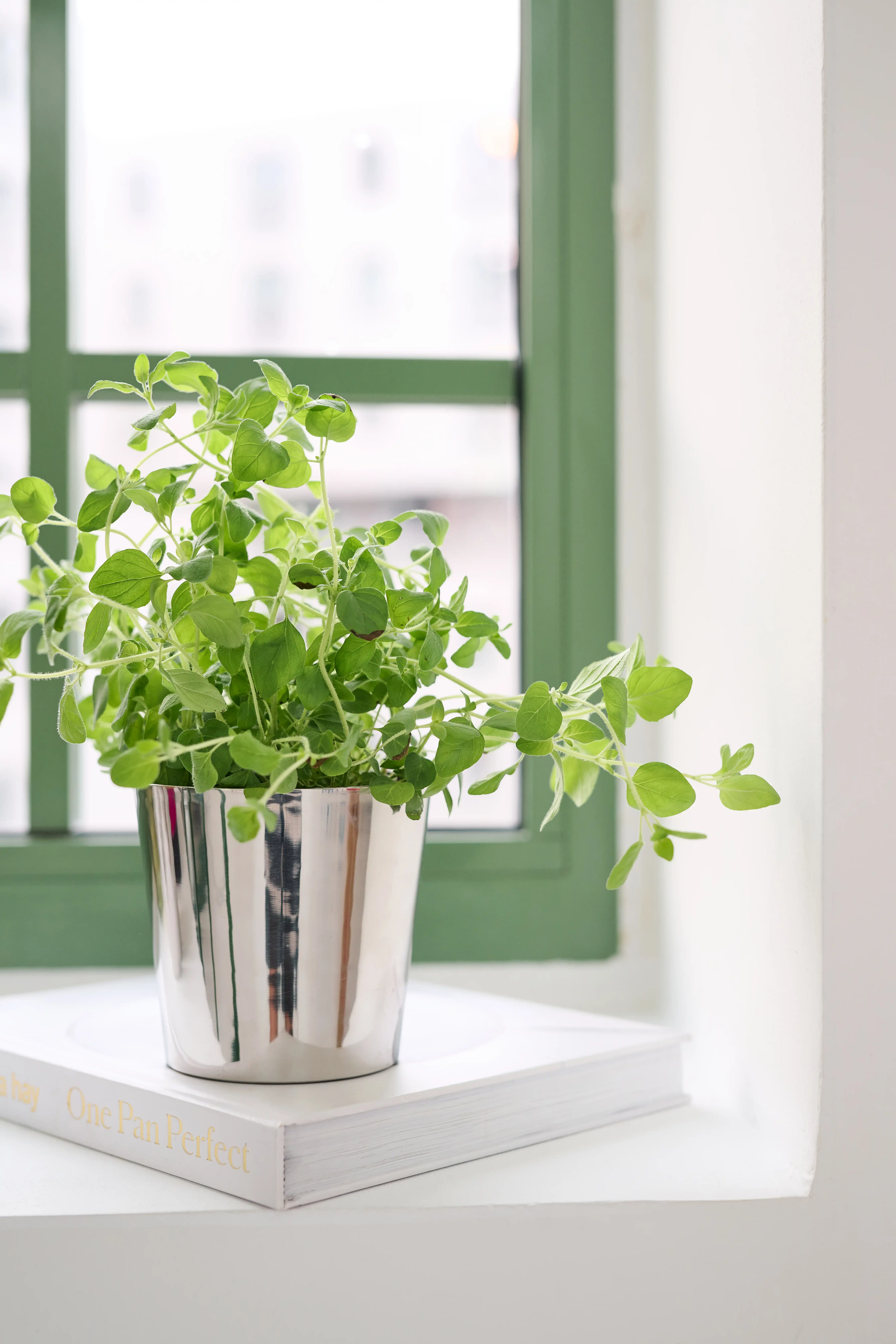 Blumenübertopf Basel (Höhe 11 cm, Ø 11,5 cm), Edelstahl, hochglanzpoliert